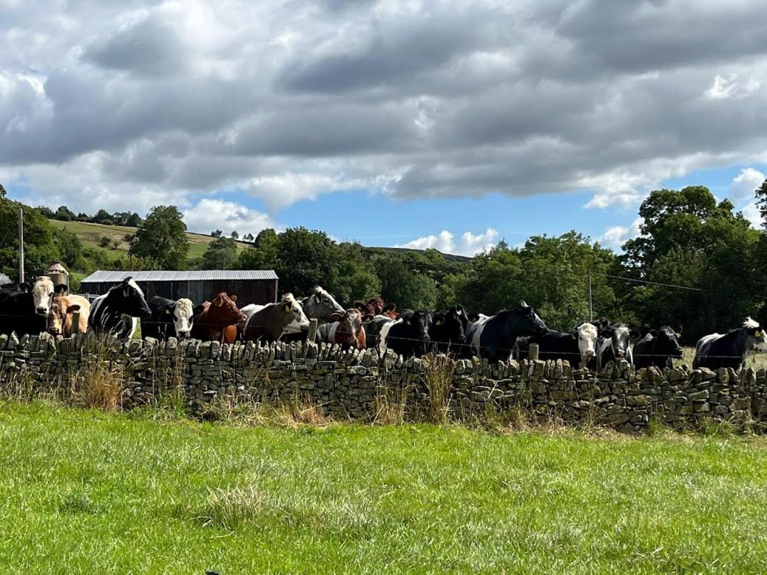 Riding House Farm Cottages Castleton  Esterno foto